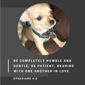 Meet your Posher, Brenda